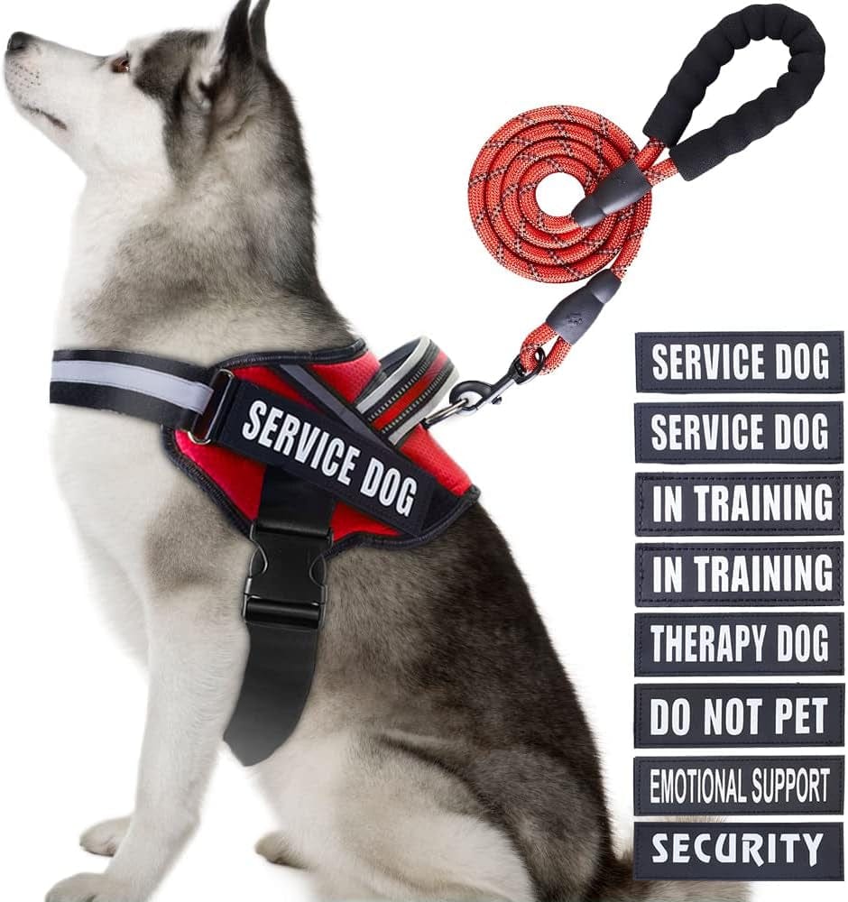 Service Dog Vest Harness and Leash Set, Animire in Training Dog Harness with 8 Dog Patches, Reflective Dog Leash with Soft Padded Handle for Small, Medium, Large, and Extra-Large Dogs Animals & Pet Supplies > Pet Supplies > Dog Supplies > Dog Apparel Animire Red XL 