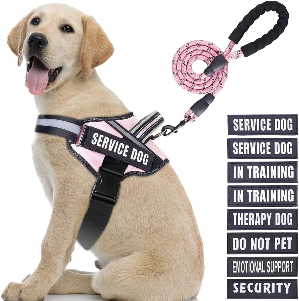 Service Dog Vest Harness and Leash Set, Animire in Training Dog Harness with 8 Dog Patches, Reflective Dog Leash with Soft Padded Handle for Small, Medium, Large, and Extra-Large Dogs Animals & Pet Supplies > Pet Supplies > Dog Supplies > Dog Apparel Animire Pink L 