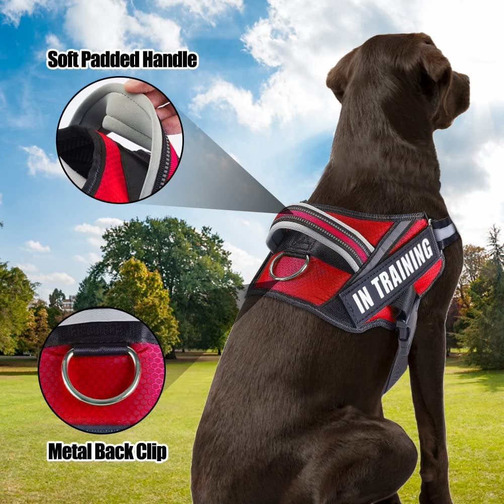 Service Dog Vest Harness and Leash Set, Animire in Training Dog Harness with 8 Dog Patches, Reflective Dog Leash with Soft Padded Handle for Small, Medium, Large, and Extra-Large Dogs Animals & Pet Supplies > Pet Supplies > Dog Supplies > Dog Apparel Animire   