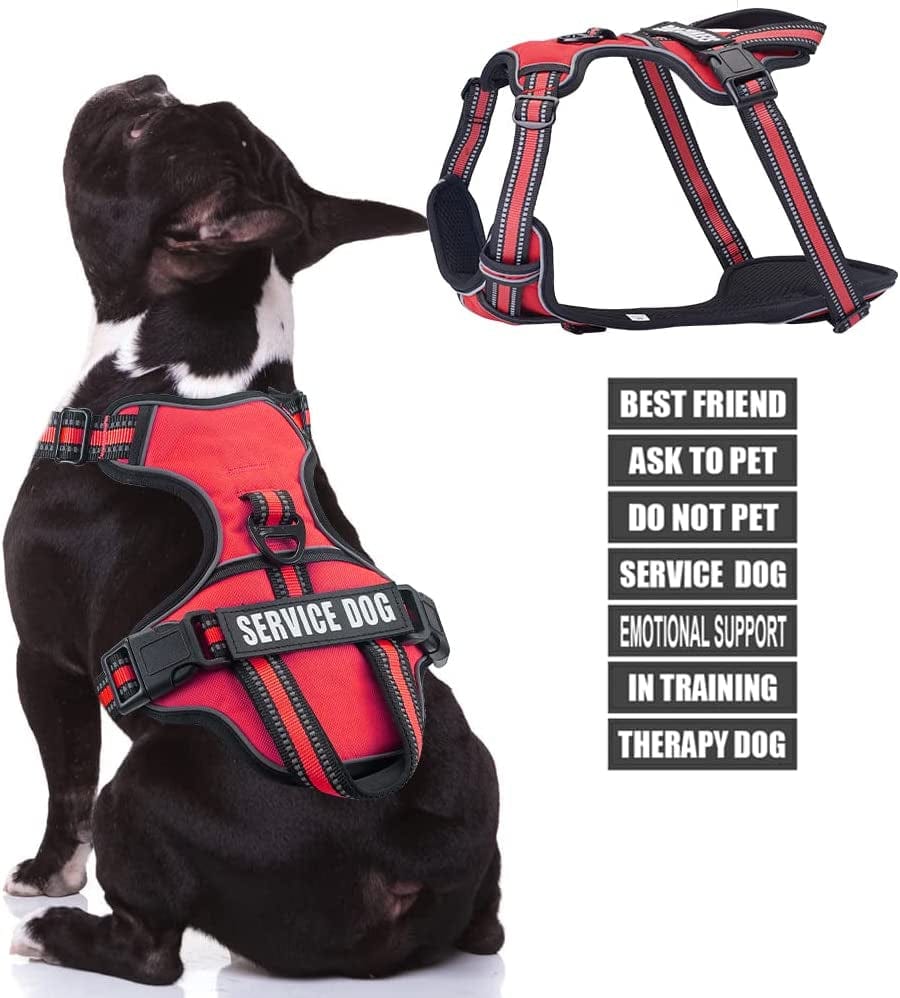 Service Dog Vest Harness, Animire No Pull Dog Harness with 7 Dog Patches, Reflective Pet Harness with Durable Soft Padded Handle for Training Small, Medium, Large, and Extra-Large Dogs(Pink,Small) Animals & Pet Supplies > Pet Supplies > Dog Supplies > Dog Apparel Animire Red Medium 