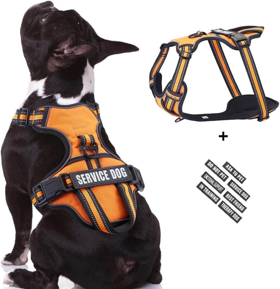 Service Dog Vest Harness, Animire No Pull Dog Harness with 7 Dog Patches, Reflective Pet Harness with Durable Soft Padded Handle for Training Small, Medium, Large, and Extra-Large Dogs(Pink,Small) Animals & Pet Supplies > Pet Supplies > Dog Supplies > Dog Apparel Animire Orange Medium 