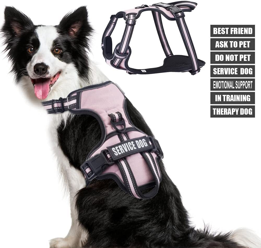 Service Dog Vest Harness, Animire No Pull Dog Harness with 7 Dog Patches, Reflective Pet Harness with Durable Soft Padded Handle for Training Small, Medium, Large, and Extra-Large Dogs(Pink,Small) Animals & Pet Supplies > Pet Supplies > Dog Supplies > Dog Apparel Animire Pink XL 