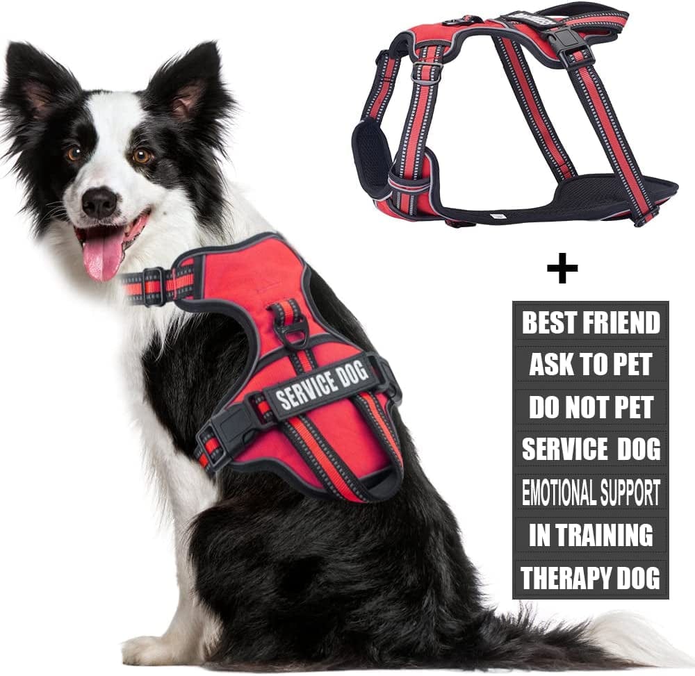 Service Dog Vest Harness, Animire No Pull Dog Harness with 7 Dog Patches, Reflective Pet Harness with Durable Soft Padded Handle for Training Small, Medium, Large, and Extra-Large Dogs(Pink,Small) Animals & Pet Supplies > Pet Supplies > Dog Supplies > Dog Apparel Animire Red XL 