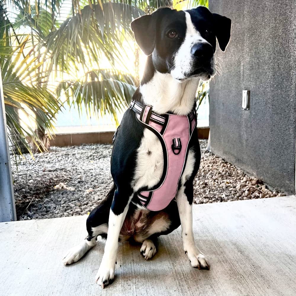 Service Dog Vest Harness, Animire No Pull Dog Harness with 7 Dog Patches, Reflective Pet Harness with Durable Soft Padded Handle for Training Small, Medium, Large, and Extra-Large Dogs(Pink,Small) Animals & Pet Supplies > Pet Supplies > Dog Supplies > Dog Apparel Animire   