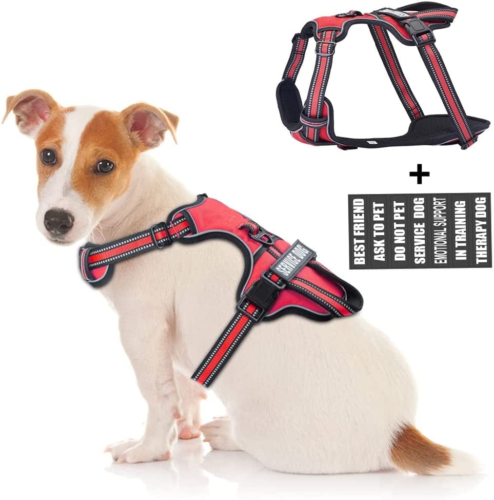 Service Dog Vest Harness, Animire No Pull Dog Harness with 7 Dog Patches, Reflective Pet Harness with Durable Soft Padded Handle for Training Small, Medium, Large, and Extra-Large Dogs(Pink,Small) Animals & Pet Supplies > Pet Supplies > Dog Supplies > Dog Apparel Animire Red S 