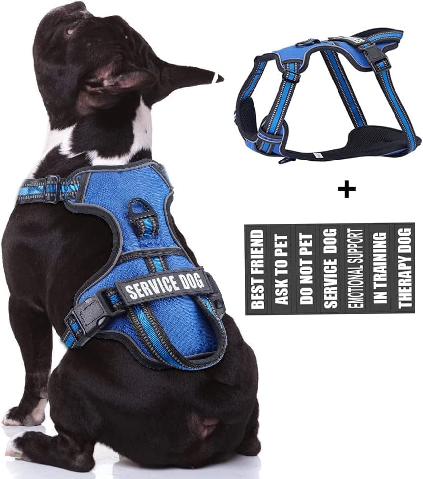 Service Dog Vest Harness, Animire No Pull Dog Harness with 7 Dog Patches, Reflective Pet Harness with Durable Soft Padded Handle for Training Small, Medium, Large, and Extra-Large Dogs(Pink,Small) Animals & Pet Supplies > Pet Supplies > Dog Supplies > Dog Apparel Animire Blue Medium 