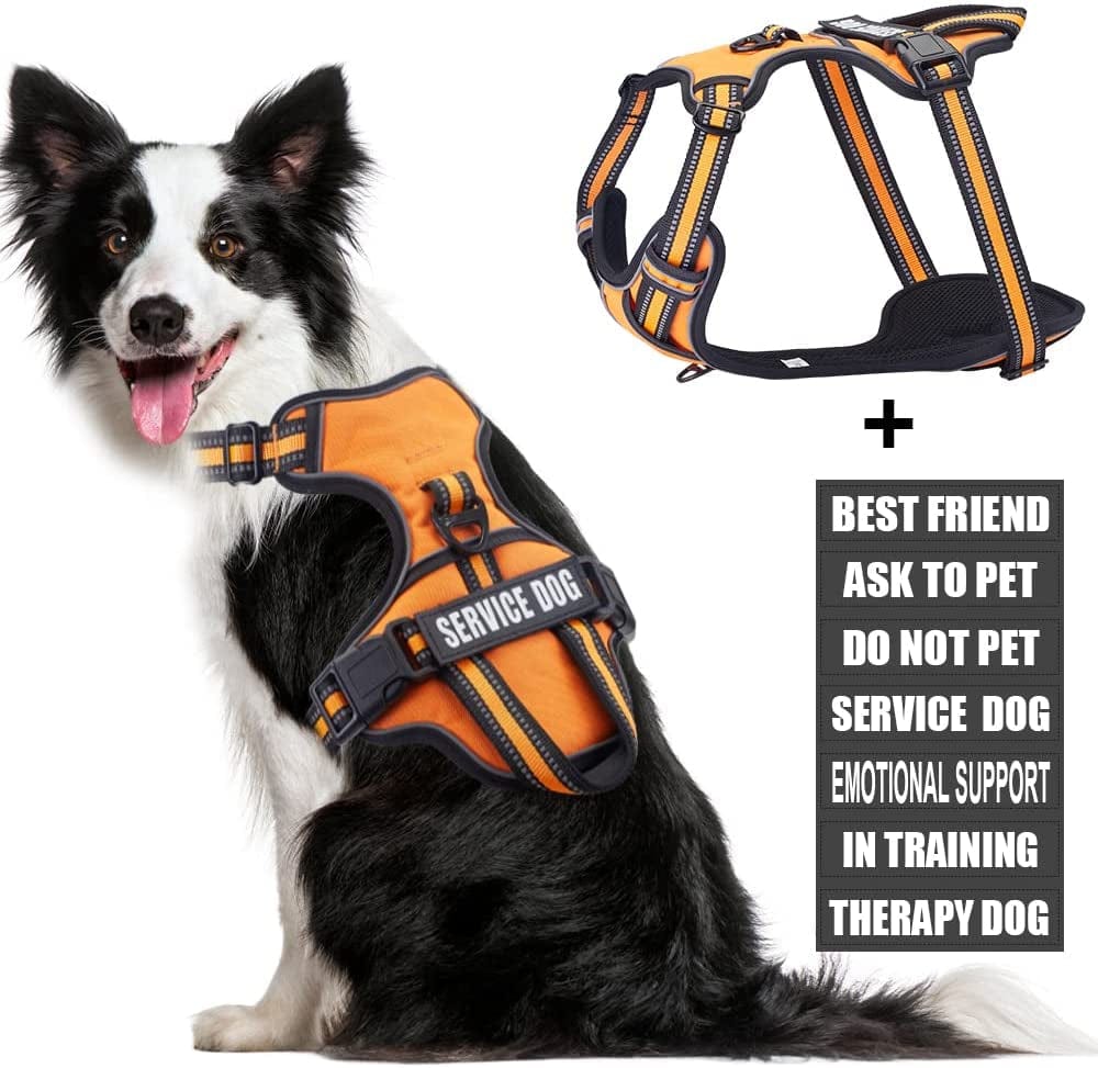 Service Dog Vest Harness, Animire No Pull Dog Harness with 7 Dog Patches, Reflective Pet Harness with Durable Soft Padded Handle for Training Small, Medium, Large, and Extra-Large Dogs(Pink,Small) Animals & Pet Supplies > Pet Supplies > Dog Supplies > Dog Apparel Animire Orange XL 