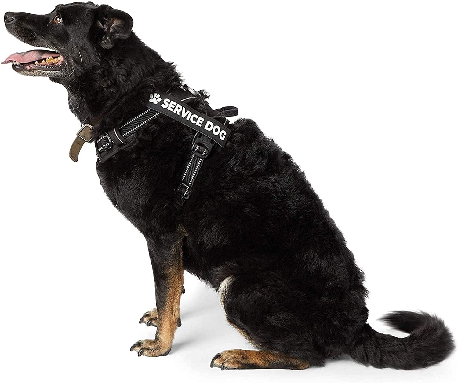 4pcs Service Dog Patch 6 x 2 - Service Dog In Training/Service Dog  Patches,Clear Pattern & Velcro Dog Patches for Vest,Velcro Patches for Dog  Harness,Dog Vest Patches