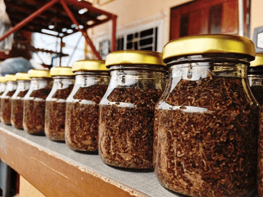 Siam Live Aquarium 75G Mosquito Larvae UHT Fish Food for Betta,Killifish and All Types of Fish Animals & Pet Supplies > Pet Supplies > Reptile & Amphibian Supplies > Reptile & Amphibian Food Siam Live Aquarium   