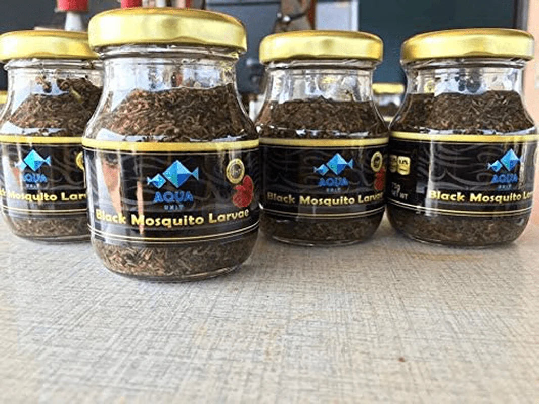 Siam Live Aquarium 75G Mosquito Larvae UHT Fish Food for Betta,Killifish and All Types of Fish Animals & Pet Supplies > Pet Supplies > Reptile & Amphibian Supplies > Reptile & Amphibian Food Siam Live Aquarium   