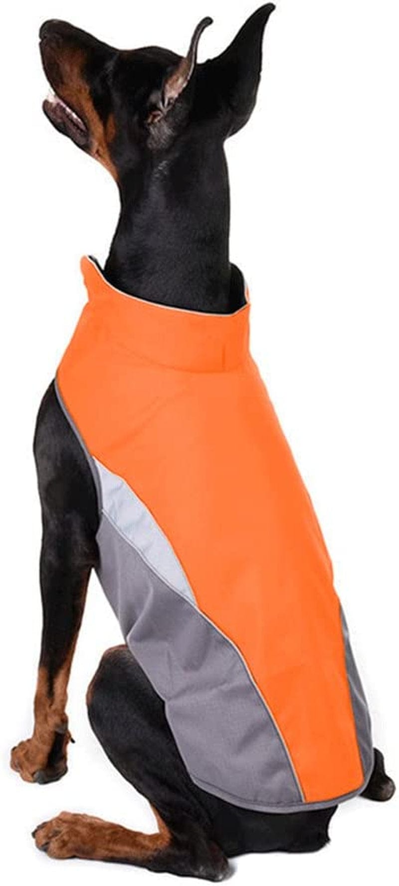 SILD Dog Jacket Outdoor Indoor Activities Waterproof Windproof Reflective Dog Cold Weather Winter Coat Dog Vest Autumn Pet Apparel for Small Medium Large Dog (M, Orange) Animals & Pet Supplies > Pet Supplies > Dog Supplies > Dog Apparel SILD   
