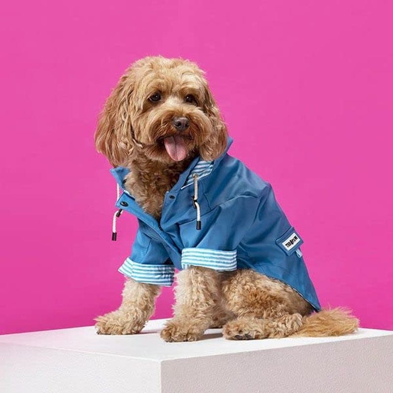 Sloane Dog Rain Jacket (Small, Navy) Animals & Pet Supplies > Pet Supplies > Dog Supplies > Dog Apparel The Paw Co Navy Small 