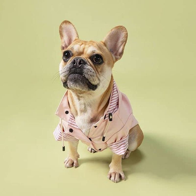 Sloane Dog Rain Jacket (Small, Navy) Animals & Pet Supplies > Pet Supplies > Dog Supplies > Dog Apparel The Paw Co Blush Medium 