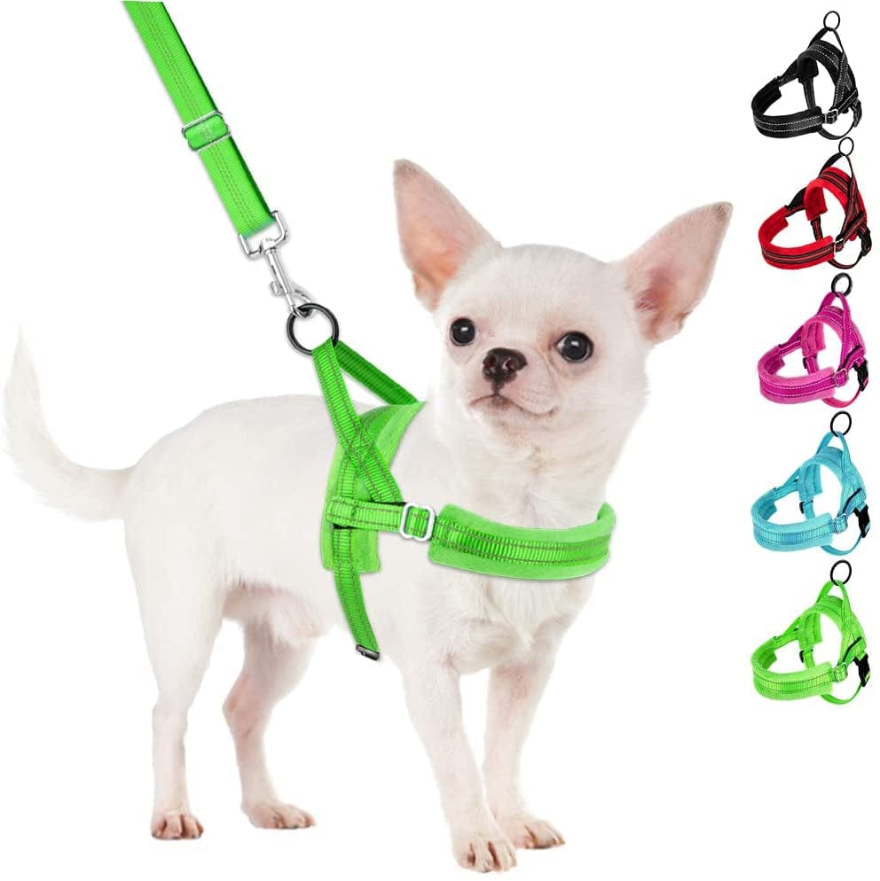 Slowton No Pull Small Dog Harness and Leash Set, Puppy Soft Vest Harness Neck & Chest Adjustable, Reflective Lightweight Harness & Anti-Twist Pet Lead Combo for Small Medium Dogs (Fuchsia, XXS) Animals & Pet Supplies > Pet Supplies > Dog Supplies > Dog Apparel SlowTon A-Green XX-Small (Chest 11.5-15.0") 