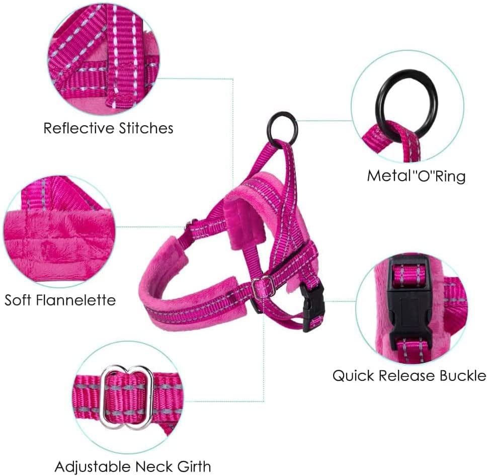 Slowton No Pull Small Dog Harness and Leash Set, Puppy Soft Vest Harness Neck & Chest Adjustable, Reflective Lightweight Harness & Anti-Twist Pet Lead Combo for Small Medium Dogs (Fuchsia, XXS) Animals & Pet Supplies > Pet Supplies > Dog Supplies > Dog Apparel SlowTon   