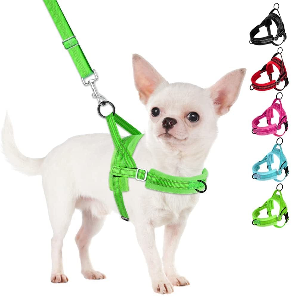 Slowton No Pull Small Dog Harness and Leash Set, Puppy Soft Vest Harness Neck & Chest Adjustable, Reflective Lightweight Harness & Anti-Twist Pet Lead Combo for Small Medium Dogs (Fuchsia, XXS) Animals & Pet Supplies > Pet Supplies > Dog Supplies > Dog Apparel SlowTon B-Light Green - With Front Clip XX-Small (Chest 11.5-15.0") 