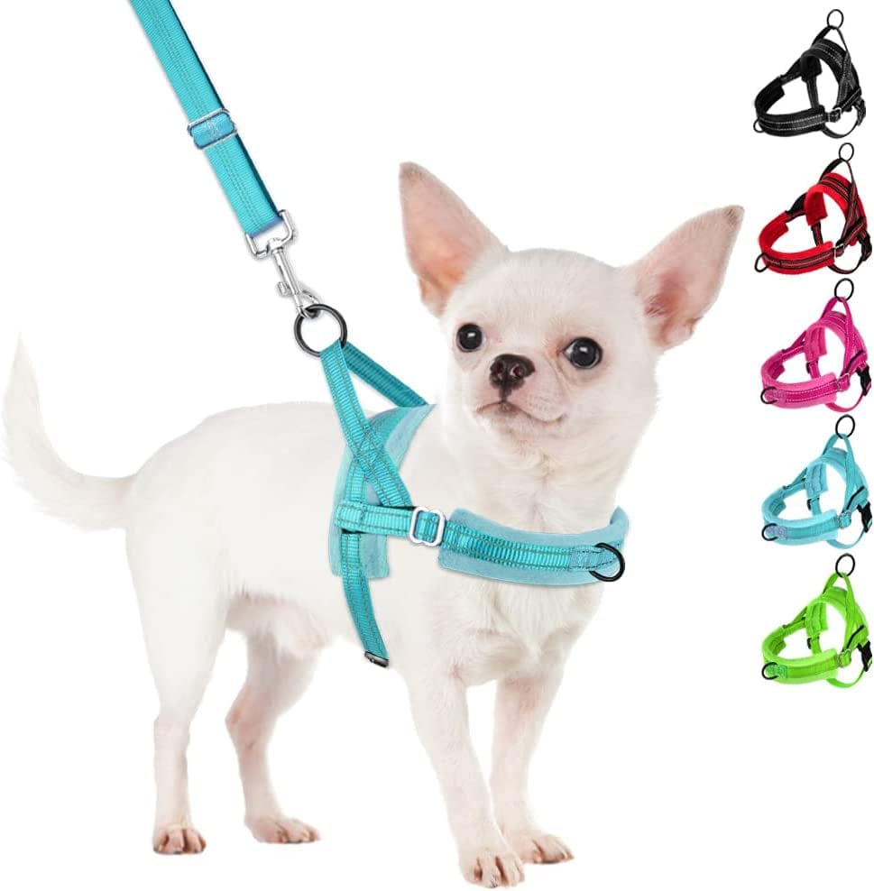 Slowton No Pull Small Dog Harness and Leash Set, Puppy Soft Vest Harness Neck & Chest Adjustable, Reflective Lightweight Harness & Anti-Twist Pet Lead Combo for Small Medium Dogs (Fuchsia, XXS) Animals & Pet Supplies > Pet Supplies > Dog Supplies > Dog Apparel SlowTon B-Blue - With Front Clip XX-Small (Chest 11.5-15.0") 