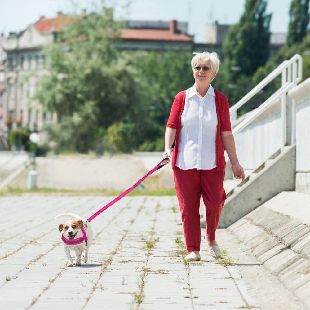 Slowton No Pull Small Dog Harness and Leash Set, Puppy Soft Vest Harness Neck & Chest Adjustable, Reflective Lightweight Harness & Anti-Twist Pet Lead Combo for Small Medium Dogs (Fuchsia, XXS) Animals & Pet Supplies > Pet Supplies > Dog Supplies > Dog Apparel SlowTon   