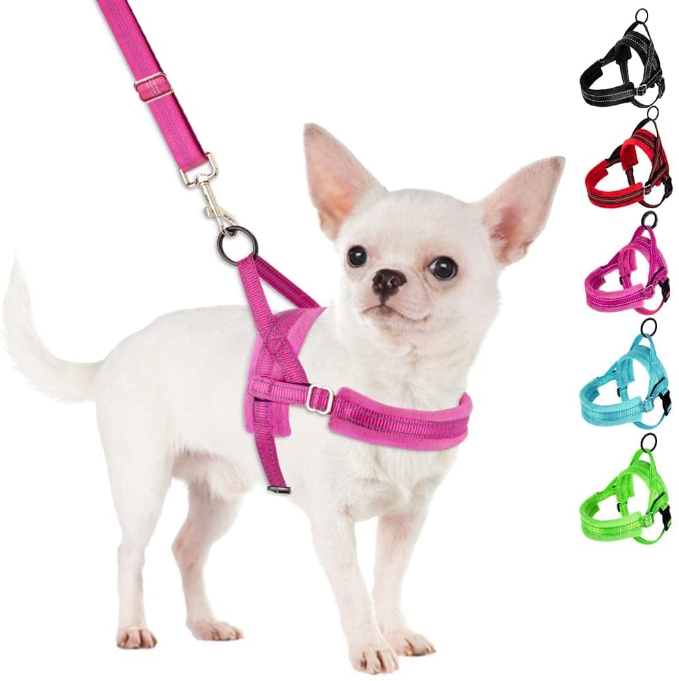 Slowton No Pull Small Dog Harness and Leash Set, Puppy Soft Vest Harness Neck & Chest Adjustable, Reflective Lightweight Harness & Anti-Twist Pet Lead Combo for Small Medium Dogs (Fuchsia, XXS) Animals & Pet Supplies > Pet Supplies > Dog Supplies > Dog Apparel SlowTon A-Fuchsia XX-Small (Chest 11.5-15.0") 