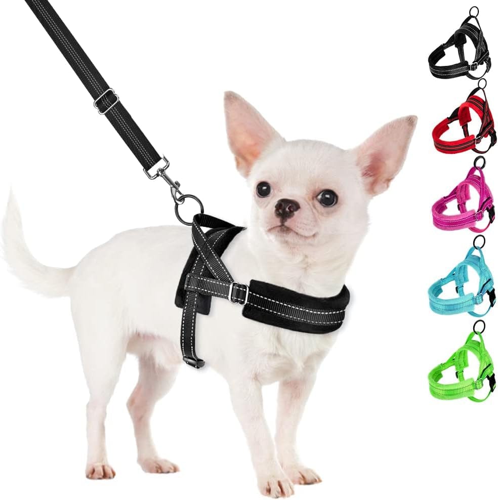 Slowton No Pull Small Dog Harness and Leash Set, Puppy Soft Vest Harness Neck & Chest Adjustable, Reflective Lightweight Harness & Anti-Twist Pet Lead Combo for Small Medium Dogs (Fuchsia, XXS) Animals & Pet Supplies > Pet Supplies > Dog Supplies > Dog Apparel SlowTon A-Black XX-Small (Chest 11.5-15.0") 