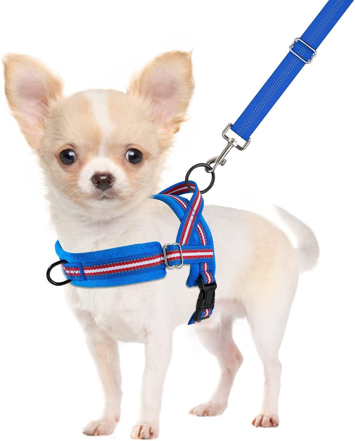 No Pull Small Dog Harness and Leash - Red – Slowtonglobal