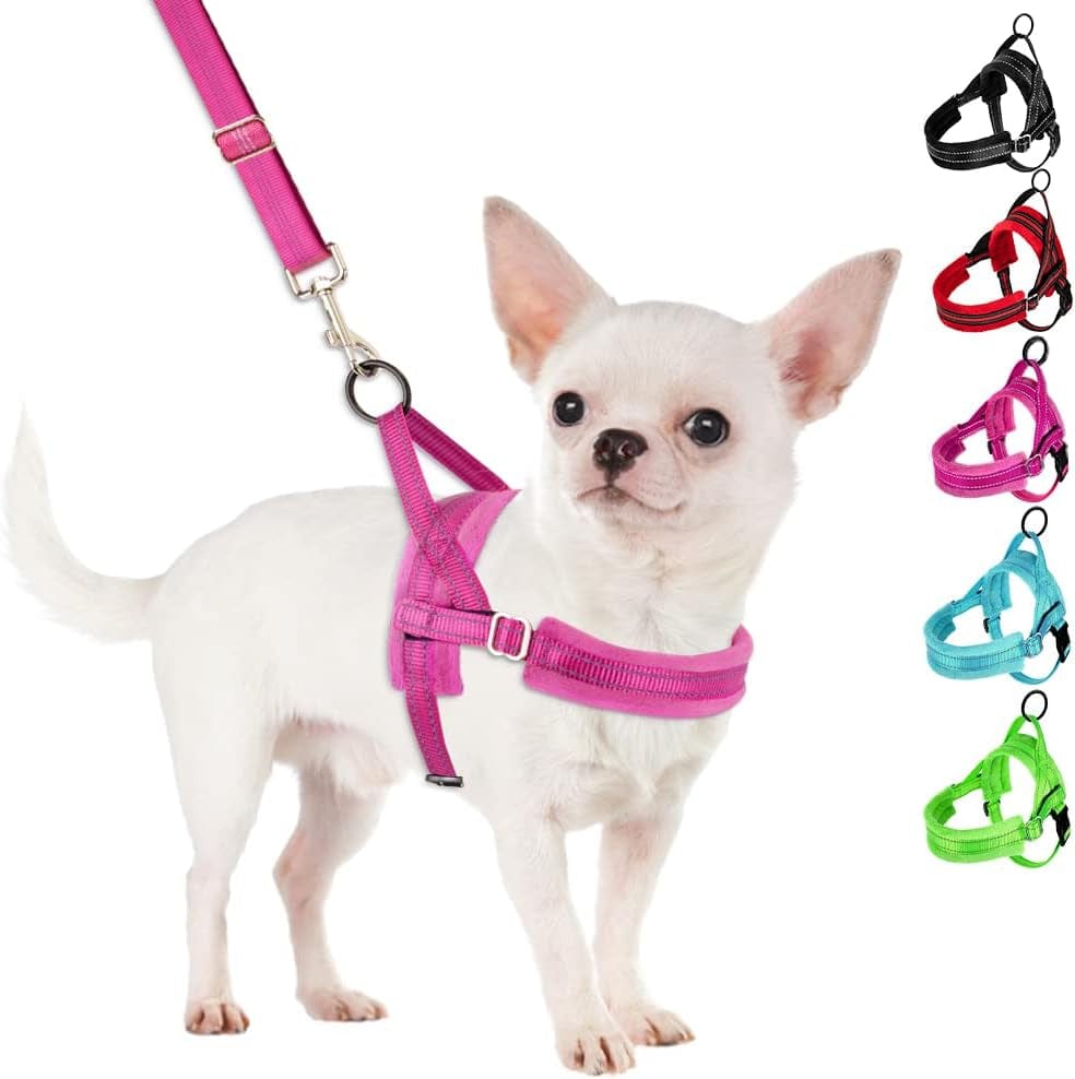 Slowton No Pull Small Dog Harness and Leash Set, Puppy Soft Vest Harness Neck & Chest Adjustable, Reflective Lightweight Harness & Anti-Twist Pet Lead Combo for Small Medium Dogs (Fuchsia, XXS) Animals & Pet Supplies > Pet Supplies > Dog Supplies > Dog Apparel SlowTon A-Fuchsia X-Small (Chest 14.0-18.0") 