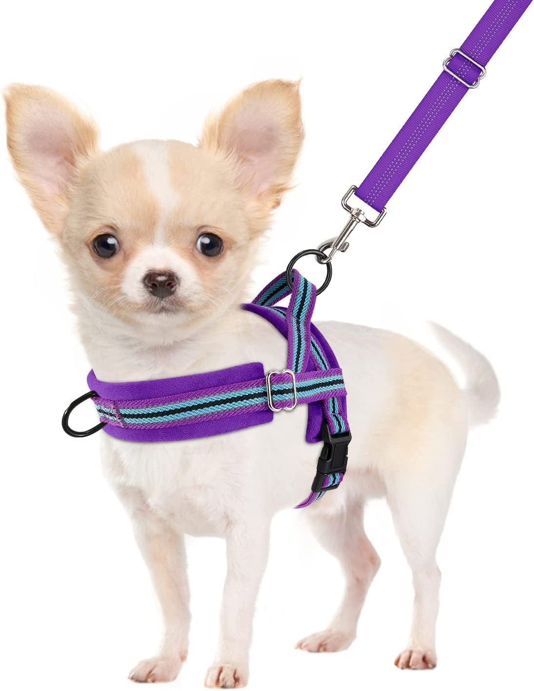 Slowton No Pull Small Dog Harness and Leash Set, Puppy Soft Vest Harness Neck & Chest Adjustable, Reflective Lightweight Harness & Anti-Twist Pet Lead Combo for Small Medium Dogs (Fuchsia, XXS) Animals & Pet Supplies > Pet Supplies > Dog Supplies > Dog Apparel SlowTon B-Purple - With Front Clip XX-Small (Chest 11.5-15.0") 