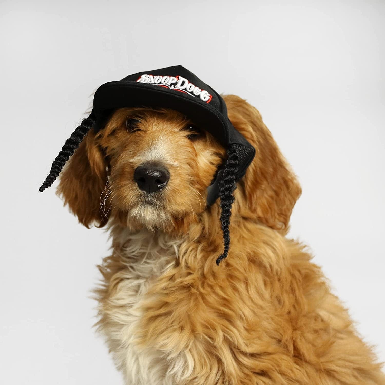 Snoop Doggie Doggs Deluxe Pet Jersey, Halftime, Medium : : Pet  Supplies