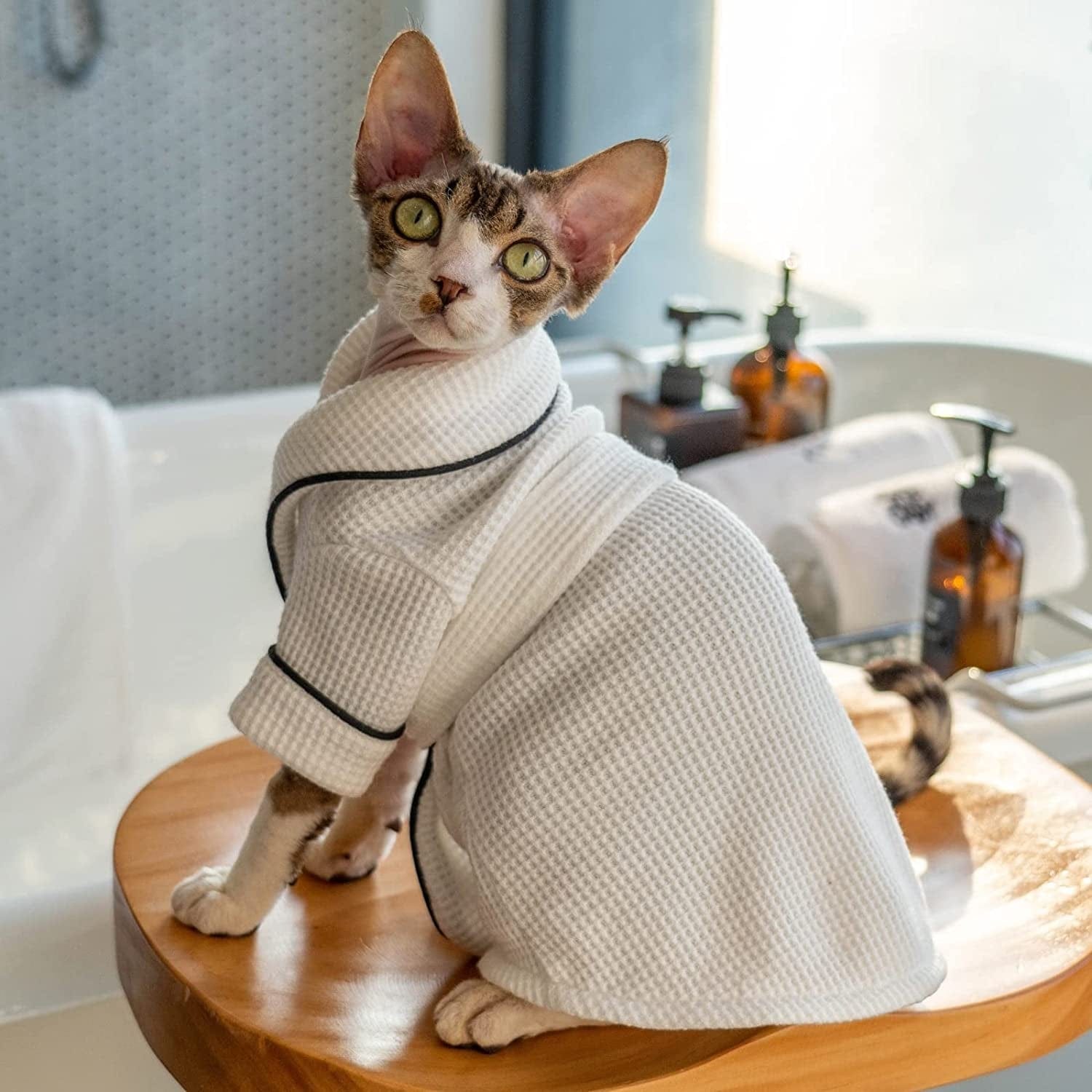 Sphynx Cat Bathrobe Bath Towel for Hairless Cat and Devon Rex Pet White Pet Robe Animals & Pet Supplies > Pet Supplies > Dog Supplies > Dog Apparel fatcatjoy   