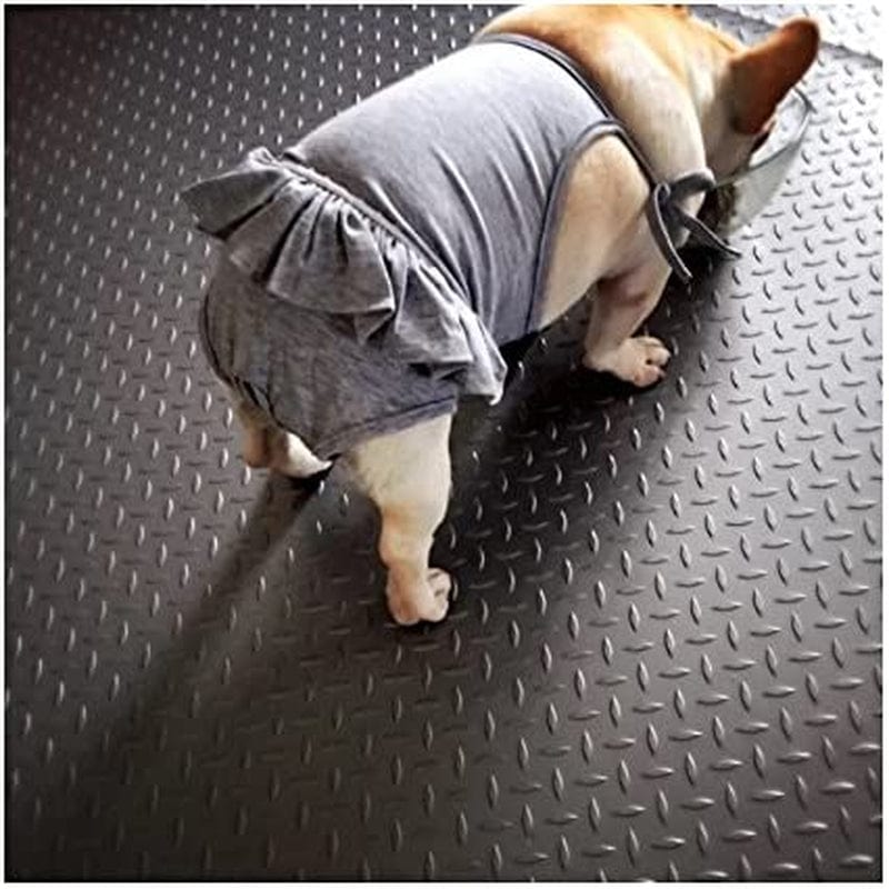 Female Dog Cotton Dress