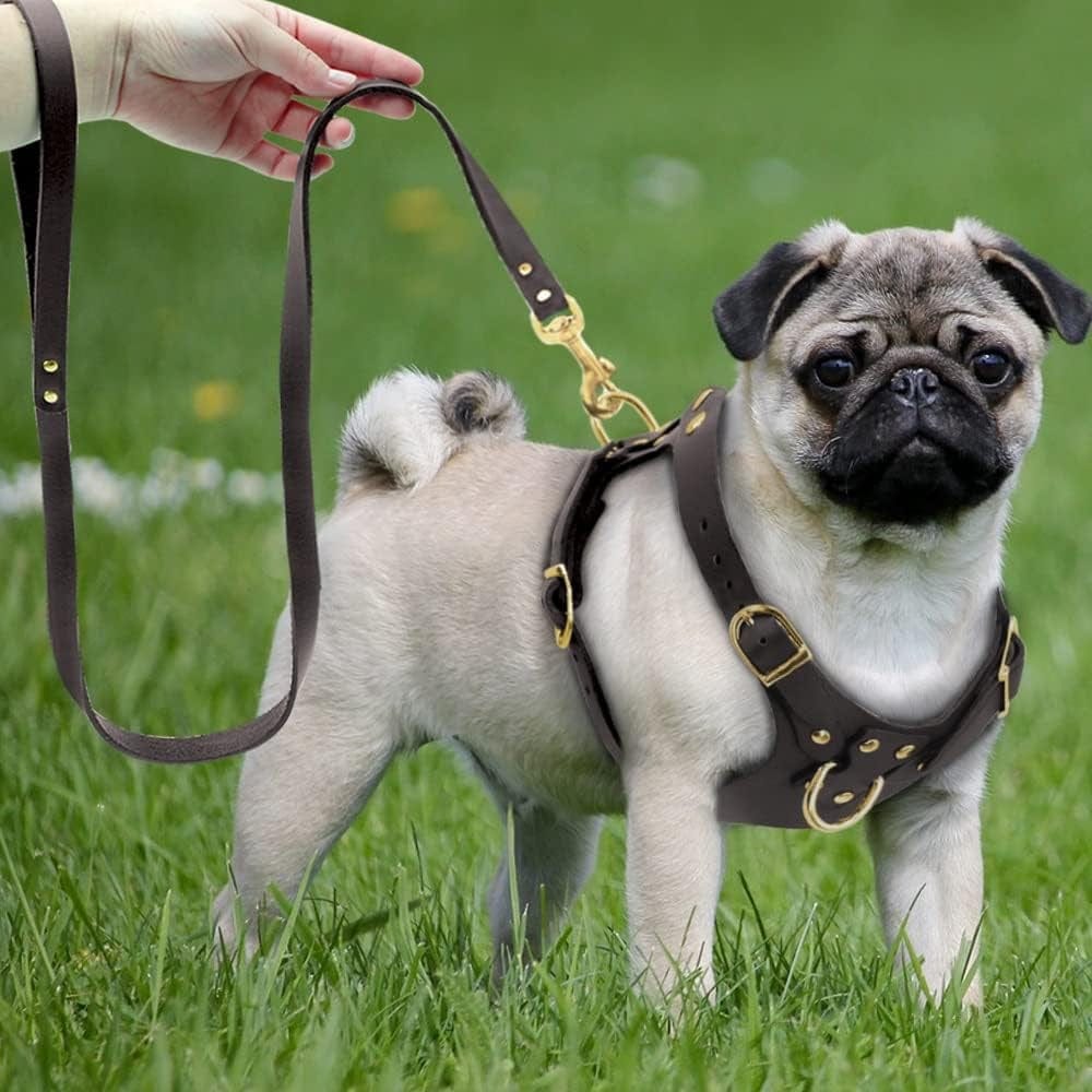 SXNBH Dog Harness Vest Adjustable Genuine Leather Pet Dog Harness and Walking Leash Set for Small Medium Dogs Pug Beagle Brown Animals & Pet Supplies > Pet Supplies > Dog Supplies > Dog Apparel chuju   