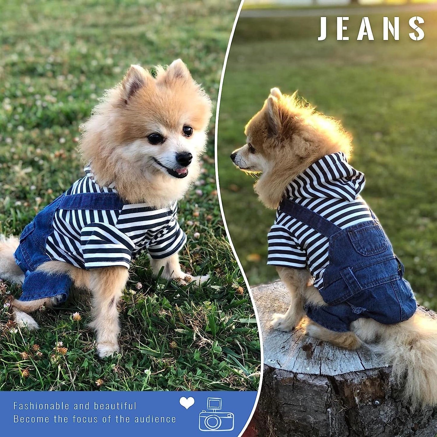 TENGZHI Dog Denim Jumpsuits Blue Striped Puppy Jean Jacket Hoodie Yorkie French Bulldog Overalls Coat Pet Clothes for Small Medium Dogs Cats Boy Girl (S) Animals & Pet Supplies > Pet Supplies > Dog Supplies > Dog Apparel Yi Wu Shi Teng Zhi Dian Zi Shang Wu You Xian Gong Si   