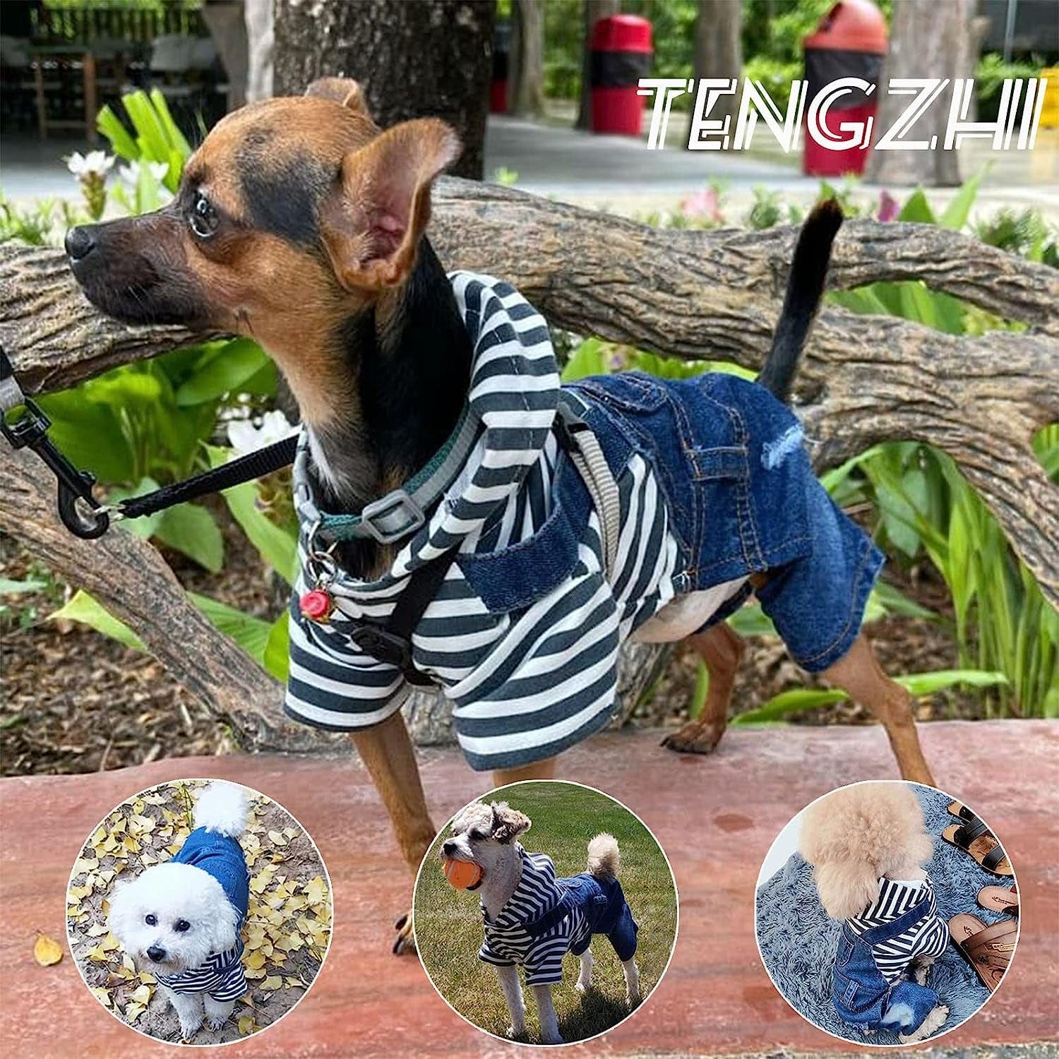 TENGZHI Dog Denim Jumpsuits Blue Striped Puppy Jean Jacket Hoodie Yorkie French Bulldog Overalls Coat Pet Clothes for Small Medium Dogs Cats Boy Girl (S) Animals & Pet Supplies > Pet Supplies > Dog Supplies > Dog Apparel Yi Wu Shi Teng Zhi Dian Zi Shang Wu You Xian Gong Si   