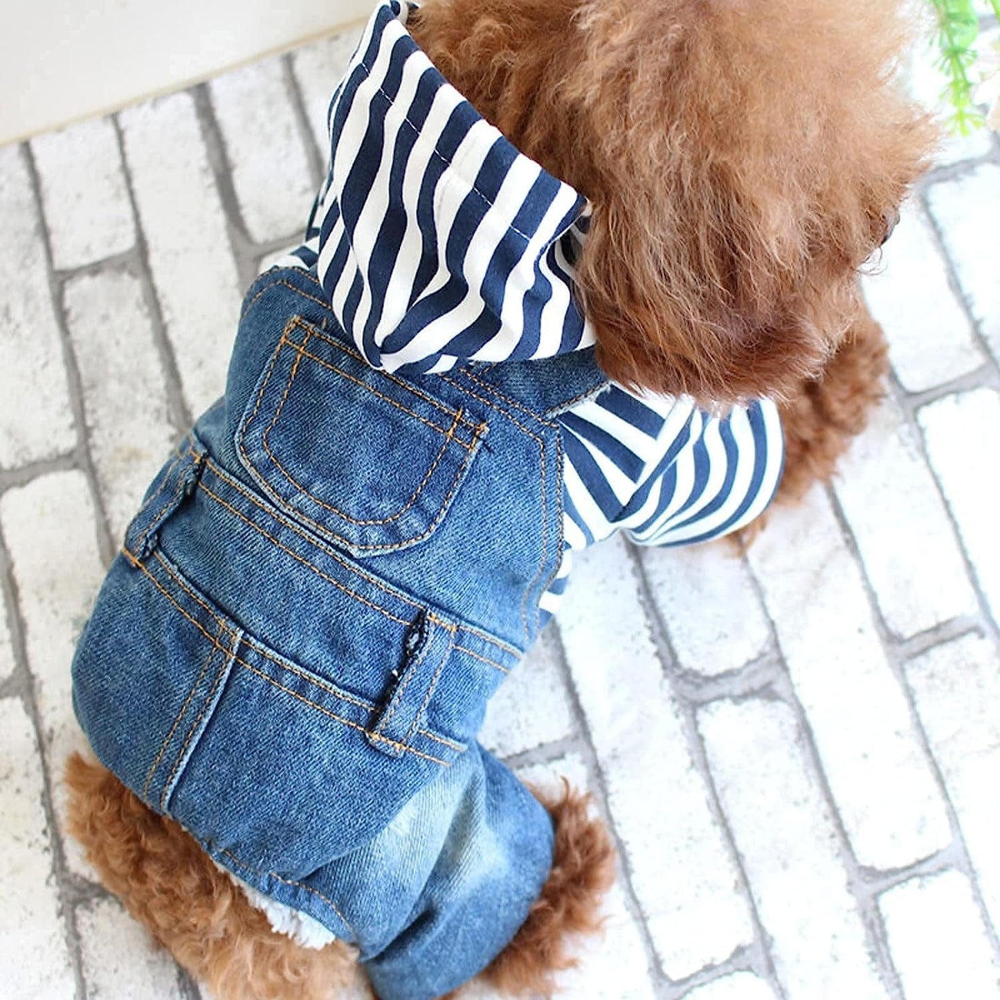 TENGZHI Dog Denim Jumpsuits Blue Striped Puppy Jean Jacket Hoodie Yorkie French Bulldog Overalls Coat Pet Clothes for Small Medium Dogs Cats Boy Girl (S) Animals & Pet Supplies > Pet Supplies > Dog Supplies > Dog Apparel Yi Wu Shi Teng Zhi Dian Zi Shang Wu You Xian Gong Si   