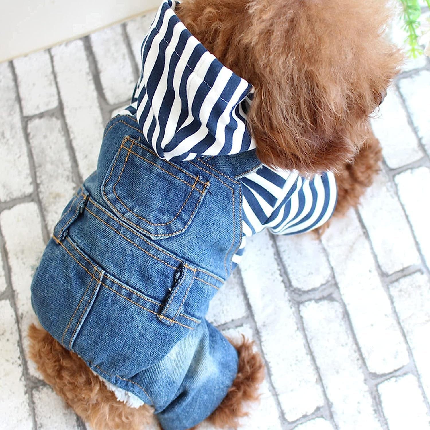 Dog Costume Clothes, Cute Denim Overalls for Small & Medium Pets, Boy &  Girl Dogs Coats Jeans T-Shirts Sweatshirts - China Dog Clothes and Pet  Clothes price | Made-in-China.com
