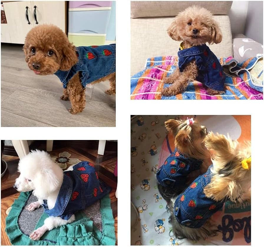 TENGZHI Dog Jeans Jacket Puppy Blue Denim Lapel Vest Coat Classic Puppy Vintage Clothes Cool Puppy Machine Washable Coat for Small Medium Dogs Girl Boy Animals & Pet Supplies > Pet Supplies > Dog Supplies > Dog Apparel Yi Wu Shi Teng Zhi Dian Zi Shang Wu You Xian Gong Si   