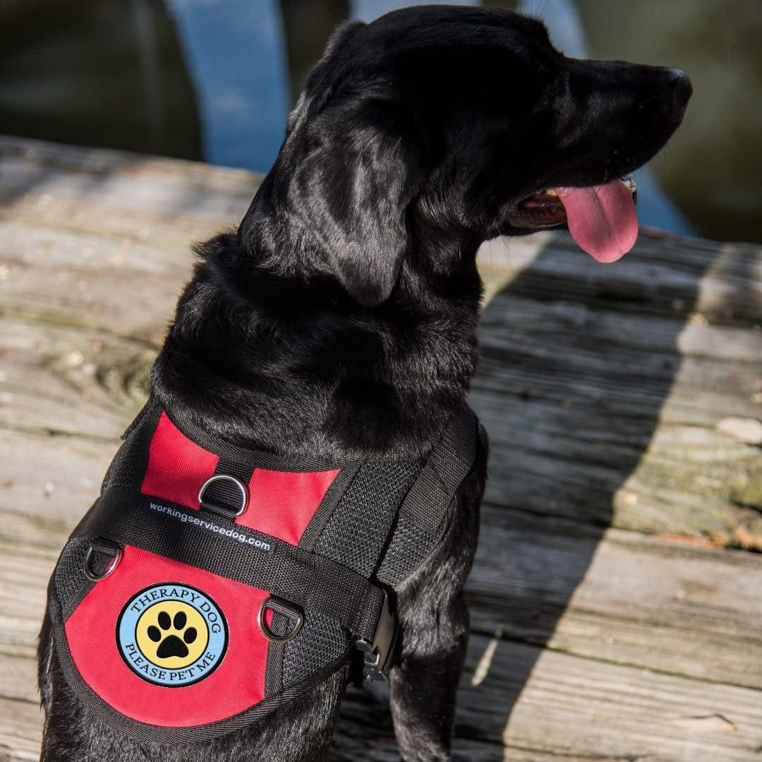 Therapy Dog - Please Pet Me - Sew on Patch for Therapy Dog Vest or Harness Animals & Pet Supplies > Pet Supplies > Dog Supplies > Dog Apparel Working Service Dog   