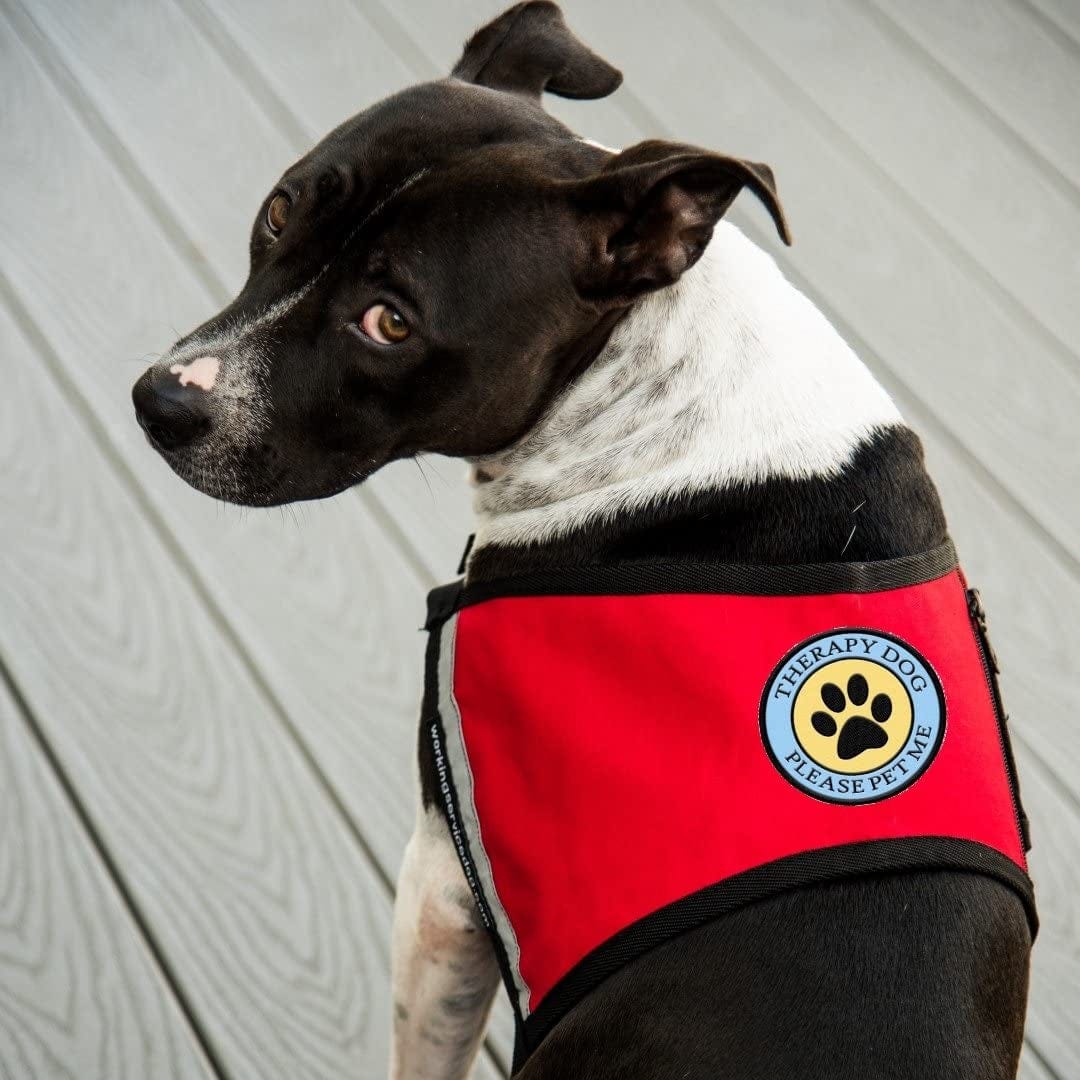 Therapy Dog - Please Pet Me - Sew on Patch for Therapy Dog Vest or Harness Animals & Pet Supplies > Pet Supplies > Dog Supplies > Dog Apparel Working Service Dog   