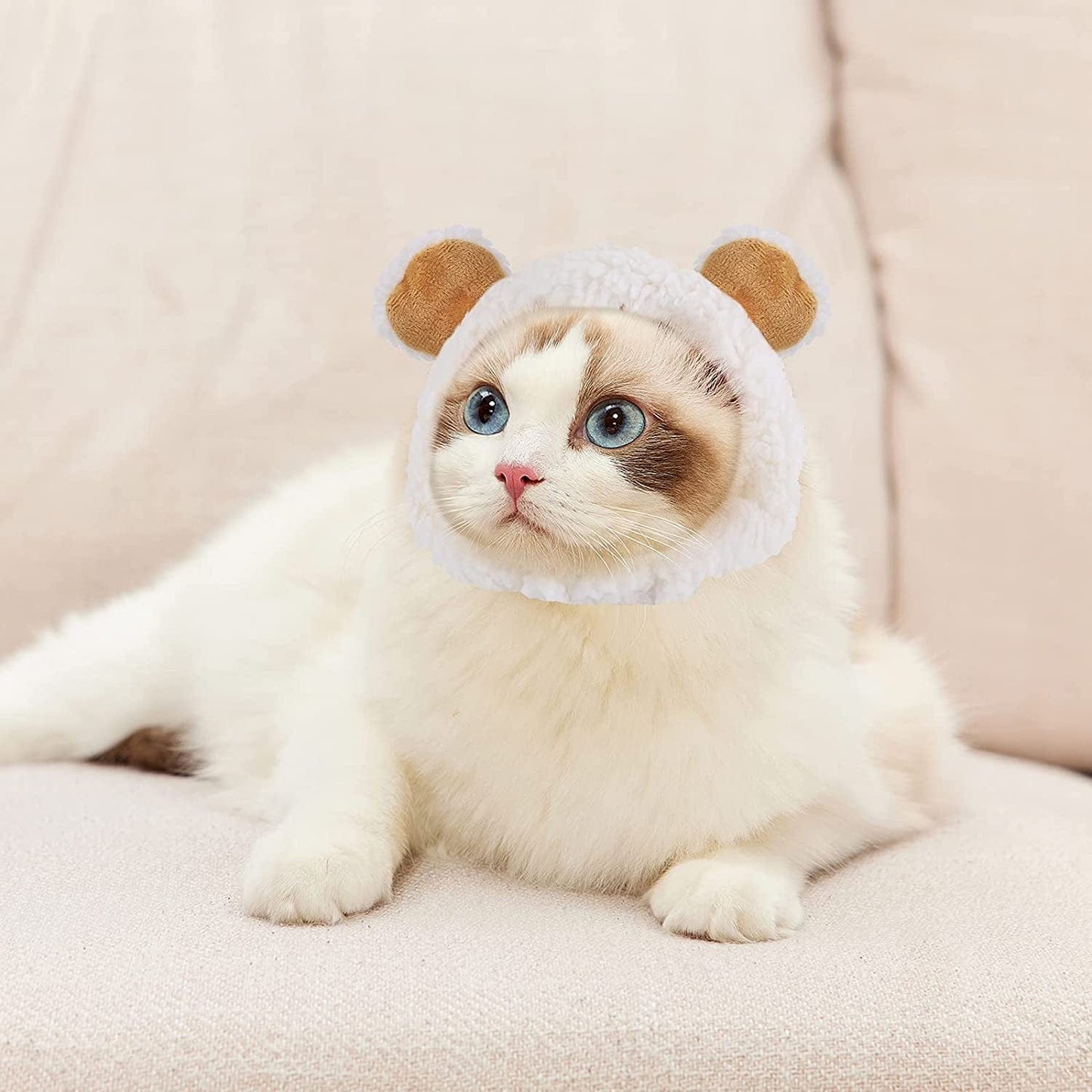TIESOME Cute Cat Costume Bear Hat for Cat Adjustable Soft Small Pet He – KOL  PET
