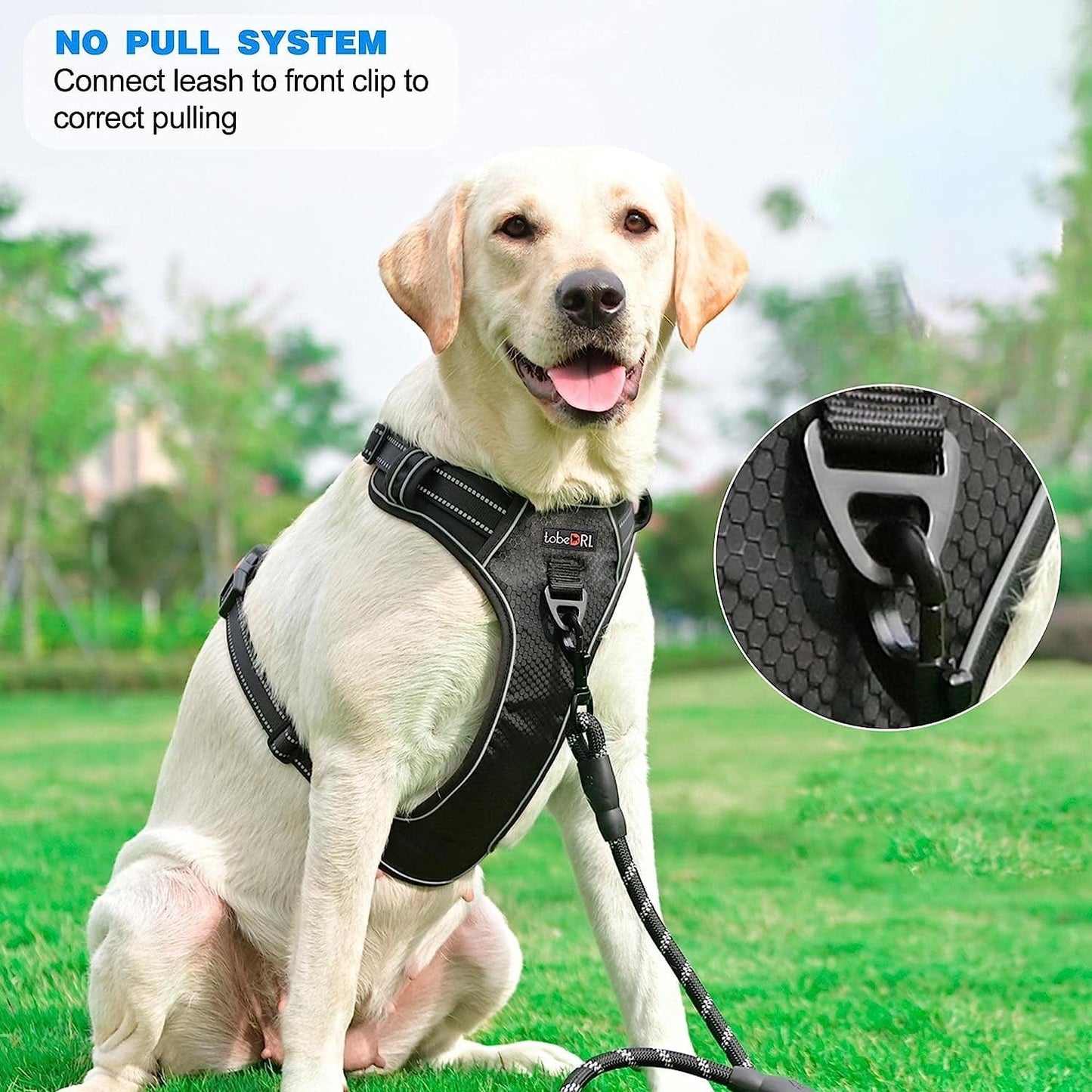 Tobedri No Pull Dog Harness, Adjustable Soft Padded Dog Vest, Reflective No-Choke Pet Oxford Vest with Easy Control Handle for Small Medium Large Dogs Animals & Pet Supplies > Pet Supplies > Dog Supplies > Dog Apparel tobedri   