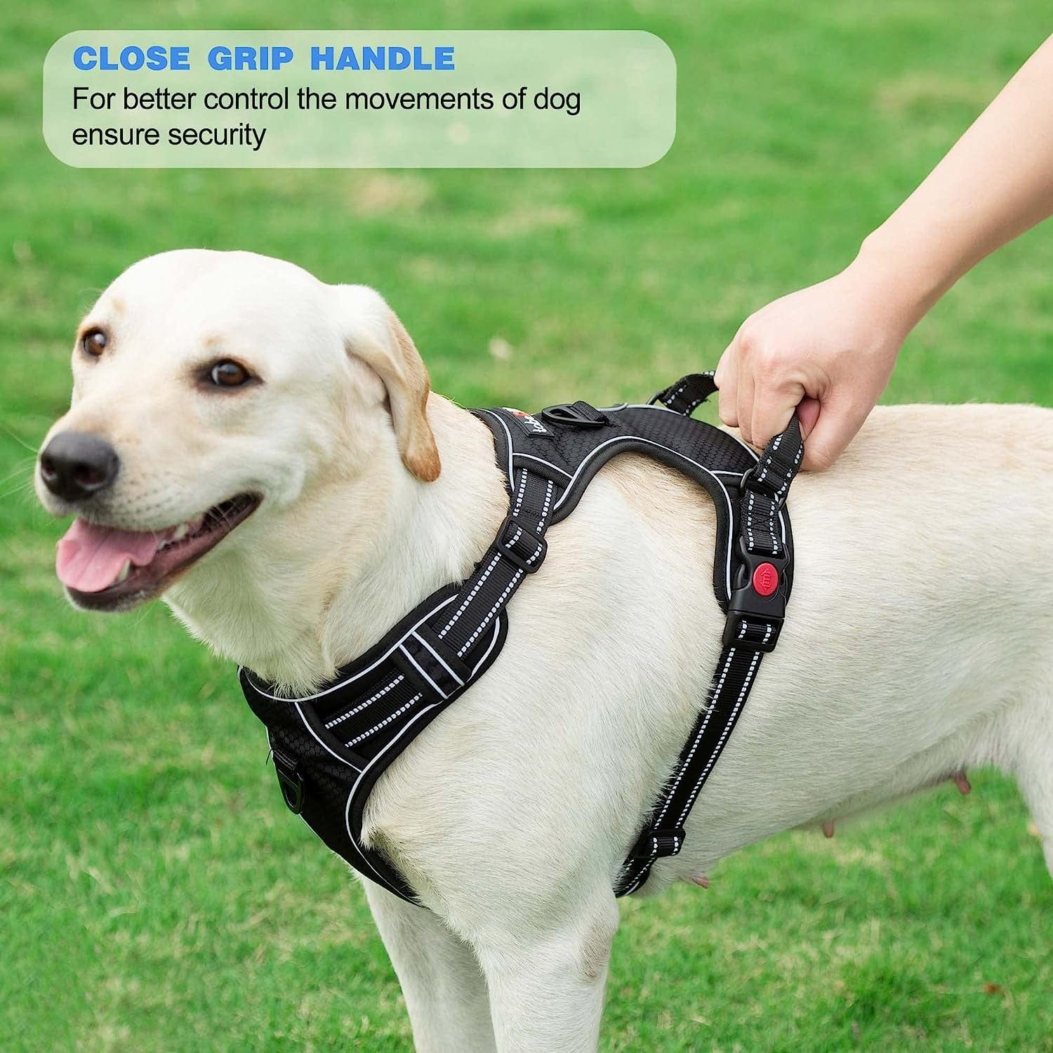 Tobedri No Pull Dog Harness, Adjustable Soft Padded Dog Vest, Reflective No-Choke Pet Oxford Vest with Easy Control Handle for Small Medium Large Dogs Animals & Pet Supplies > Pet Supplies > Dog Supplies > Dog Apparel tobedri   