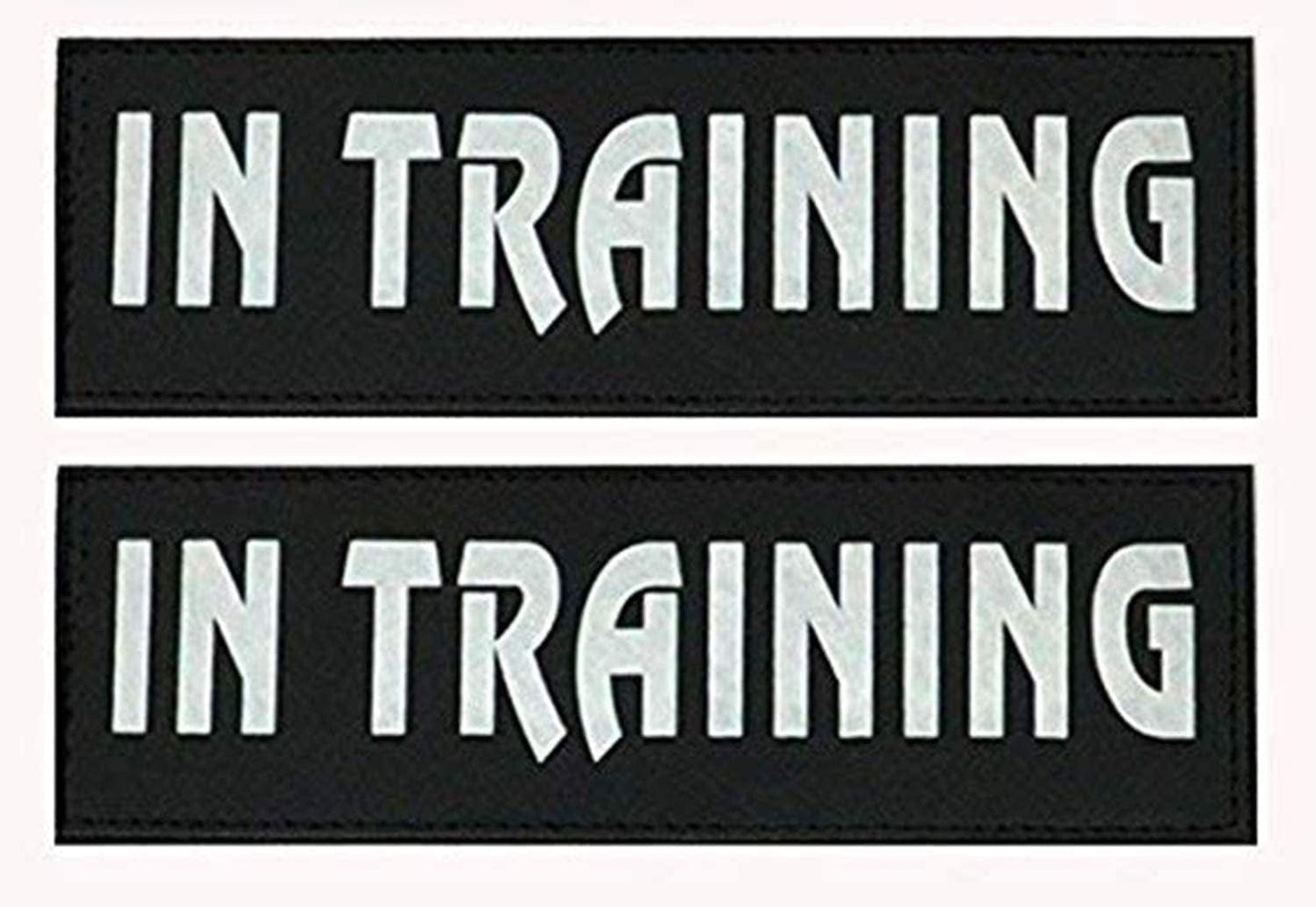 Umisun Removable Dog Patches for Vests & Harness - Reflective / 2" X 6" Large White Letter/2 Pack,Police Animals & Pet Supplies > Pet Supplies > Dog Supplies > Dog Apparel Umisun IN TRAINING Large( 2 x 6") 