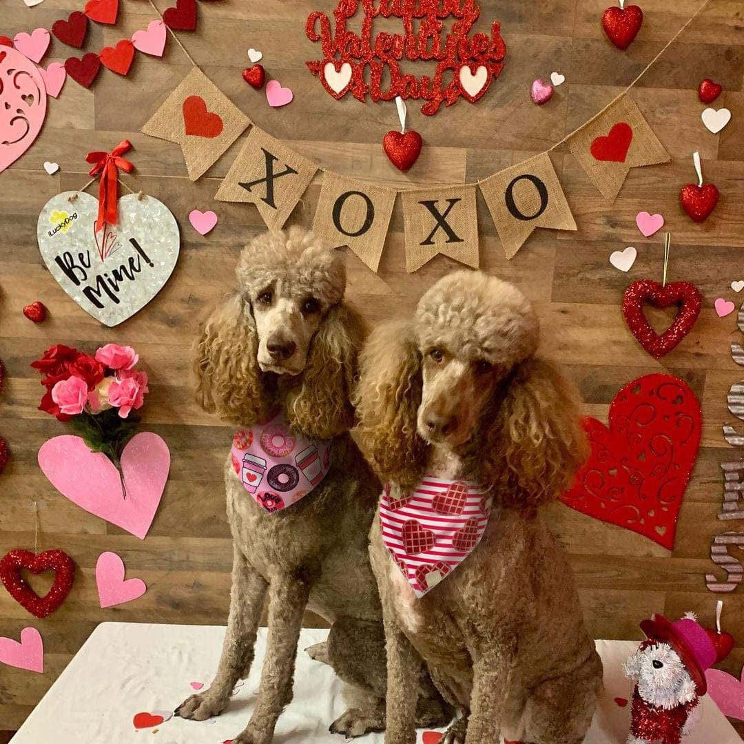 Valentines Day Dog Bandana 2 Pack - Triangle Bibs Pet Scarf for Medium Large Dogs