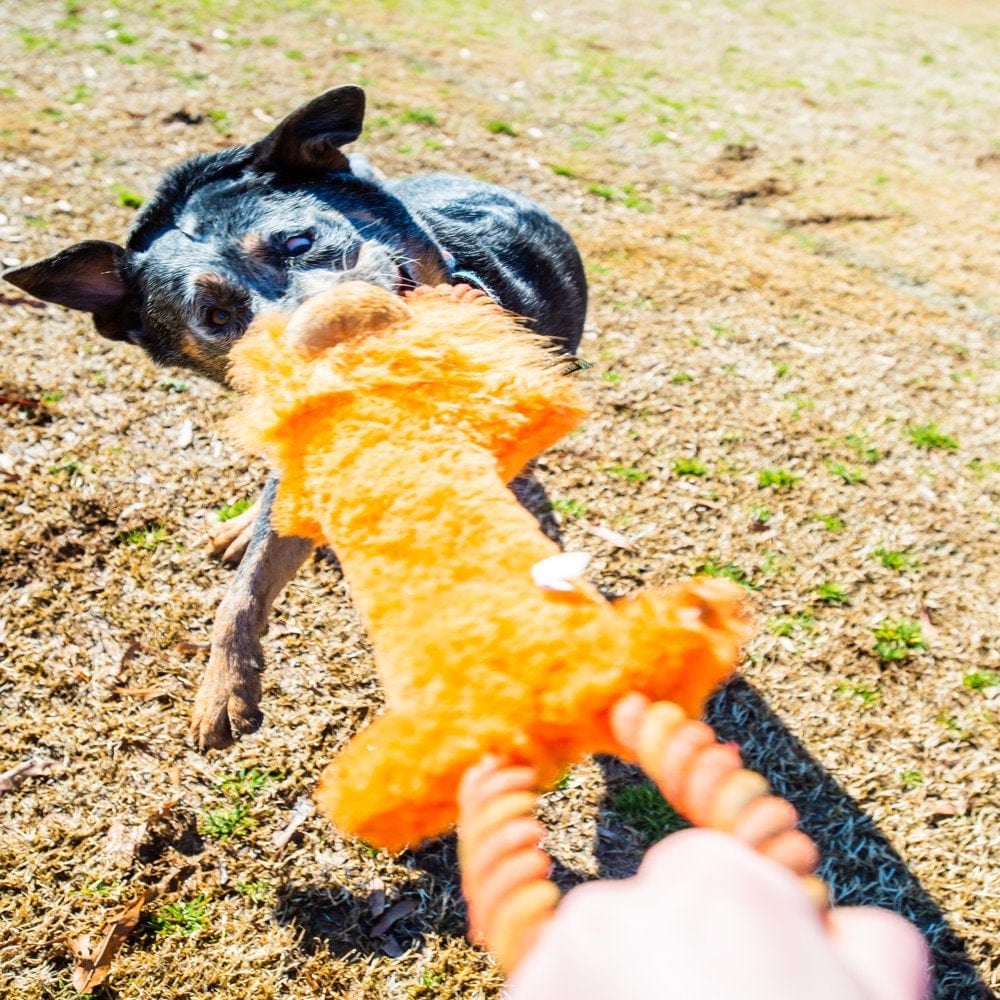 Vibrant Life Tough Buddy Farm Friends with Rope Dog Toys – KOL PET