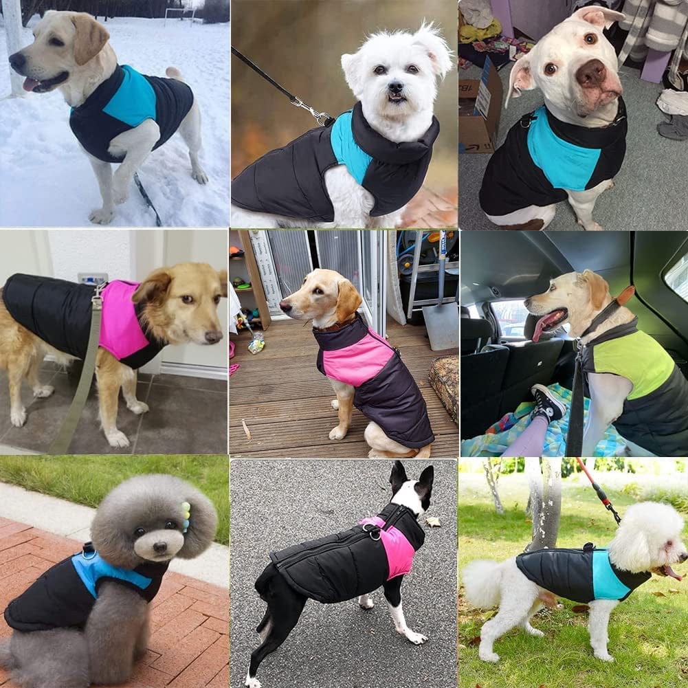 VISVIC Dog Coats Dog Warm Jacket Vest Coat Cold Weather, Pet Winter Clothes for Small Medium Large Dogs, Dog Warm Padded Vest Coat, Zip up Sports Outwear Pet Apparel with Dual D Ring Leash Animals & Pet Supplies > Pet Supplies > Dog Supplies > Dog Apparel shenghuius   
