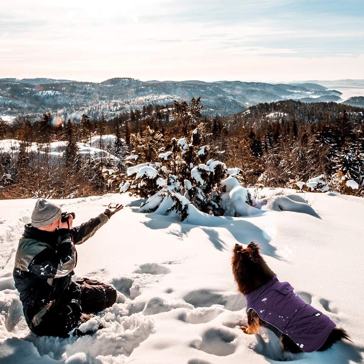 VOOPET Warm Dog Jacket, Snowproof Windproof Waterproof Dog Winter Coat for Cold Weather - Soft Fleece Lining and Warm Thick Padded Dog Snow Coat with Detachable Hood for Puppy Small Medium Dogs Animals & Pet Supplies > Pet Supplies > Dog Supplies > Dog Apparel voopet   