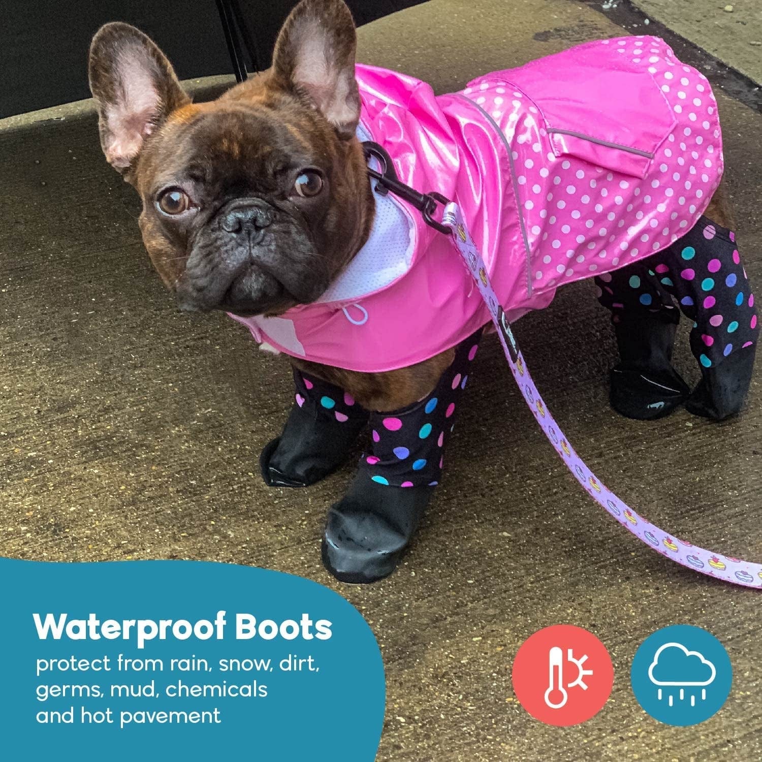 WALKEE PAWS Dog Boot Leggings, Small Dog Sizes, Seen on Shark Tank, Adjustable Fit Protects from Hot, Cold, Wet Weather, Allergens & Chemicals, Never Lose a Boot or Sock Again (Classic, Small) Animals & Pet Supplies > Pet Supplies > Dog Supplies > Dog Apparel Walkee Paws   