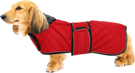 Warm Thermal Quilted Dachshund Coat, Dog Winter Coat with Warm Fleece Lining, Outdoor Dog Apparel with Adjustable Bands for Medium, Large Dog-Red-S Animals & Pet Supplies > Pet Supplies > Dog Supplies > Dog Apparel Geyecete Red X-Large 