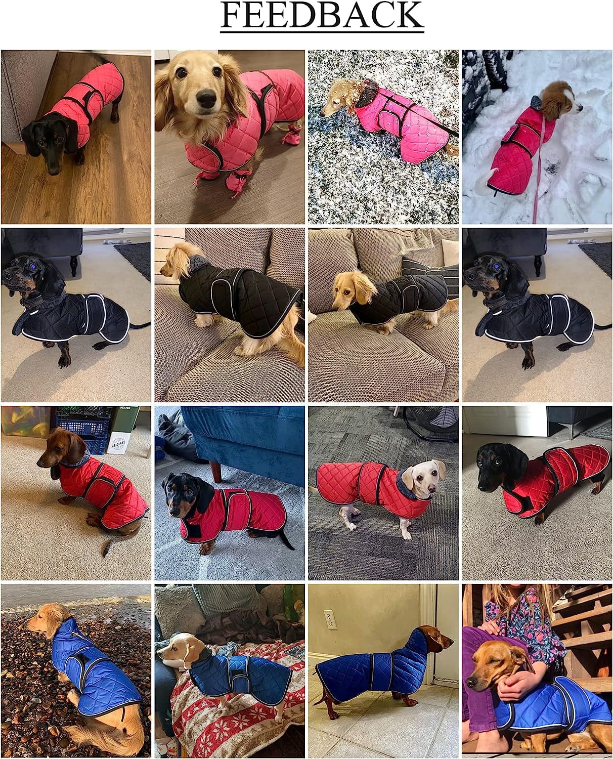 Warm Thermal Quilted Dachshund Coat, Dog Winter Coat with Warm Fleece Lining, Outdoor Dog Apparel with Adjustable Bands for Medium, Large Dog-Red-S Animals & Pet Supplies > Pet Supplies > Dog Supplies > Dog Apparel Geyecete   