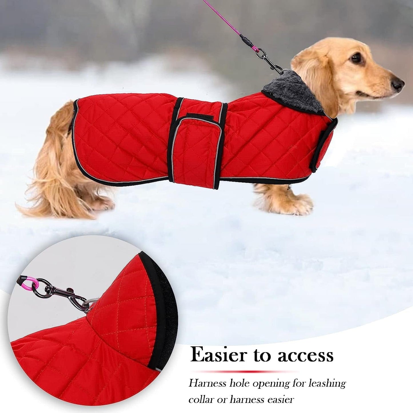 Warm Thermal Quilted Dachshund Coat, Dog Winter Coat with Warm Fleece Lining, Outdoor Dog Apparel with Adjustable Bands for Medium, Large Dog-Red-S Animals & Pet Supplies > Pet Supplies > Dog Supplies > Dog Apparel Geyecete   